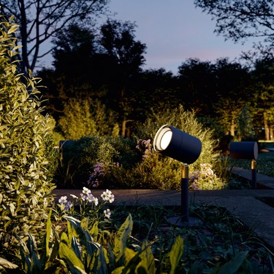 Full Moon. Emotionale beleuchtung.